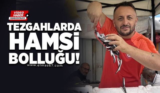 Tezgahlarda hamsi bolluğu