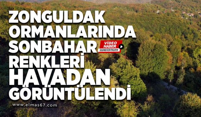 Zonguldak ormanlarında sonbahar renkleri havadan görüntülendi