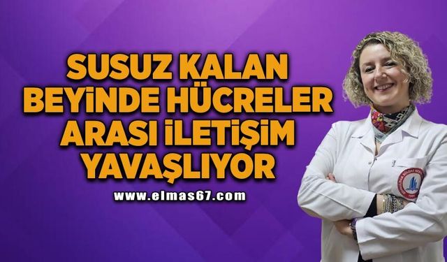 Susuz kalan beyinde hücreler arası iletişim yavaşlıyor