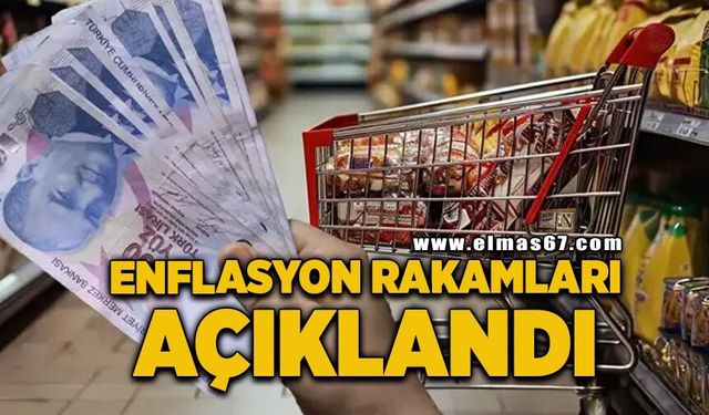 Şubat ayında yıllık enflasyon yüzde 31,53 oldu