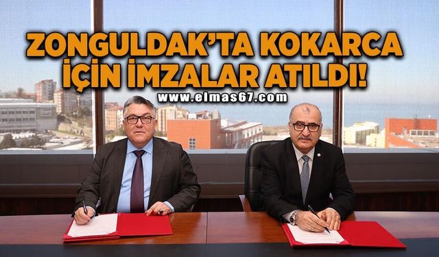 BEUN ile İl Tarım ve Orman Müdürlüğü arasında fındıkta kahverengi kokarcaya karşı bilimsel iş birliği