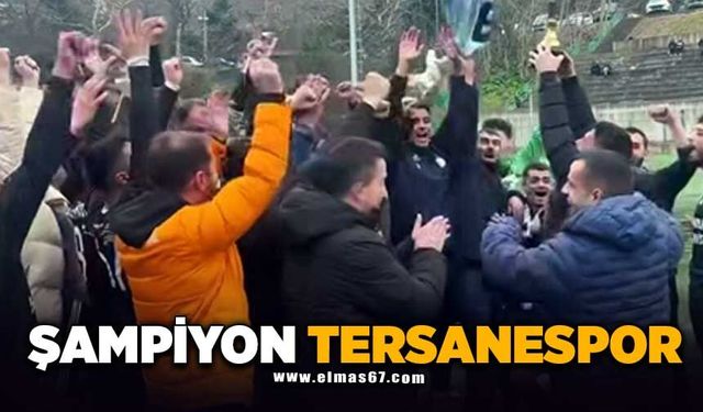 Şampiyon Tersanespor