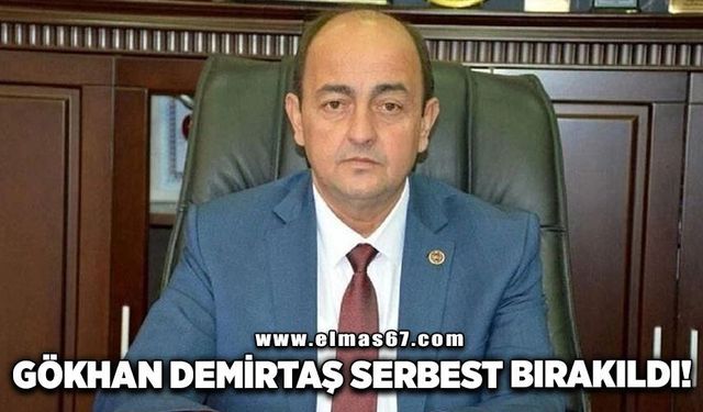GÖKHAN DEMİRTAŞ SERBEST BIRAKILDI!
