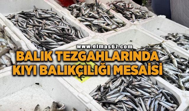 Balık tezgahlarında kıyı balıkçılığı mesaisi