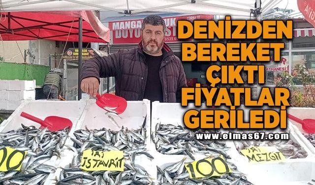 Denizden bereket çıktı, fiyatlar geriledi