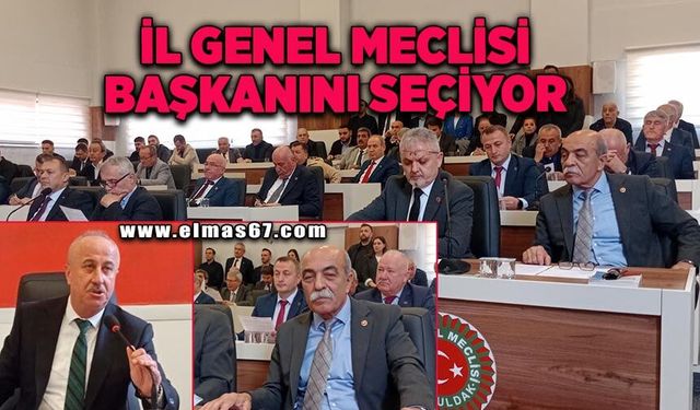 İl Genel Meclisi Başkanı'nı seçiyor