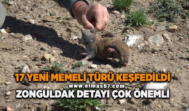 17 yeni memeli türü keşfedildi