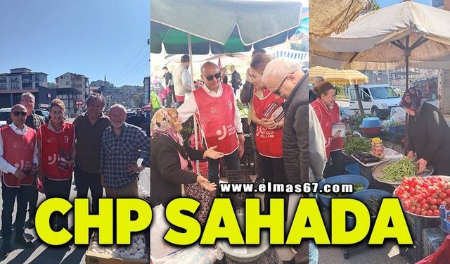 CHP Ereğli ve Gülüç örgütleri sahada