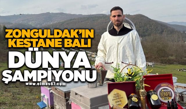ZONGULDAK’IN KESTANE BALI DÜNYA ŞAMPİYONU