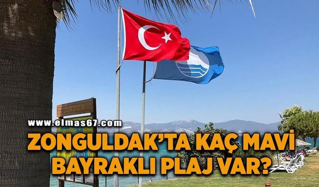 Zonguldak’ta kaç mavi bayraklı plaj var?