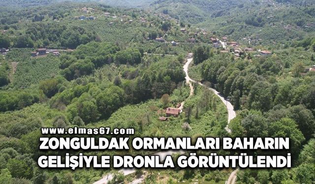 Zonguldak ormanları baharın gelişiyle dronla görüntülendi