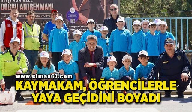 Kaymakam, öğrencilerle yaya geçidini boyadı