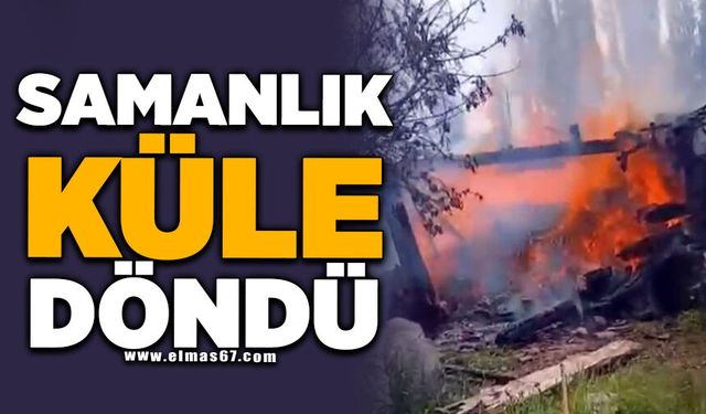 Çıkan yangında samanlık küle döndü