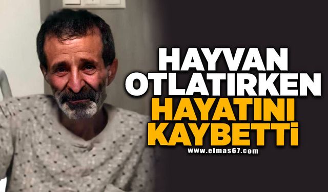 Hayvan otlatırken rahatsızlanan şahıs hayatını kaybetti