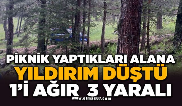 Piknik yaptıkları alana yıldırım düştü