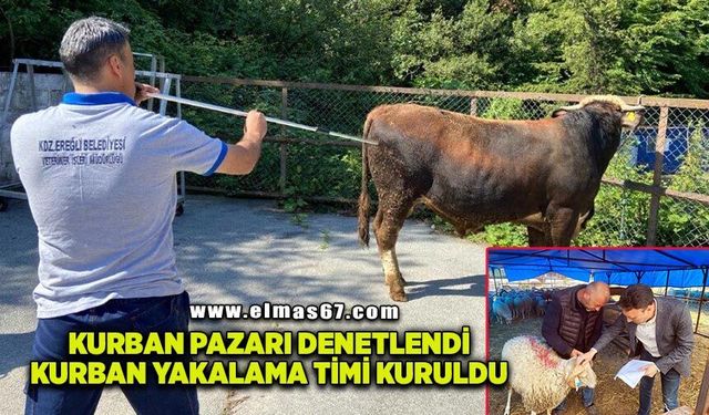 Kurban Pazarı Denetlendi, Kurban Yakalama Timi Kuruldu