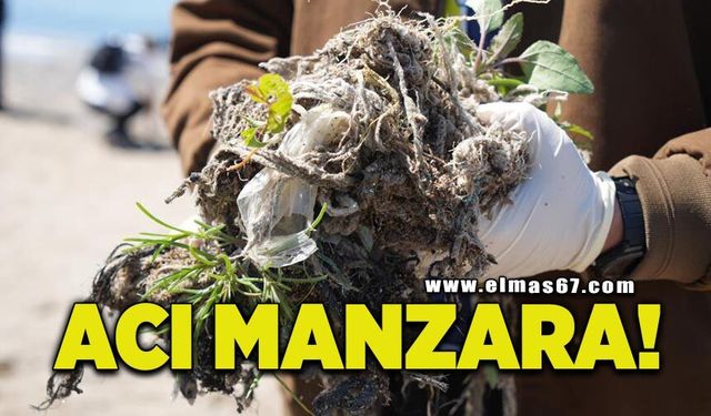 Sahili temizlemeye indiler, gördükleri manzara acı tabloyu özetledi