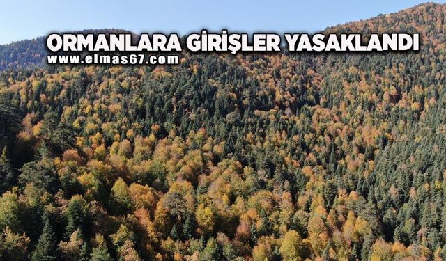 Ormanlara girişler yasaklandı