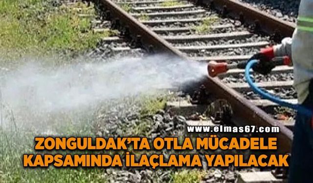 Zonguldak’ta otla mücadele kapsamında ilaçlama yapılacak