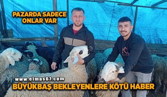 Pazarda sadece onlar var! Büyükbaş bekleyenlere kötü haber