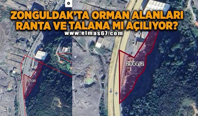 Yavuzyılmaz: “Zonguldak’ta orman alanları ranta ve talana mı açılıyor?”
