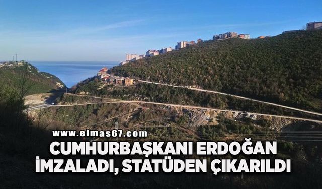 Kozlu’da dikkat çeken karar: 15 dönümlük orman alanı statüden çıkarıldı!