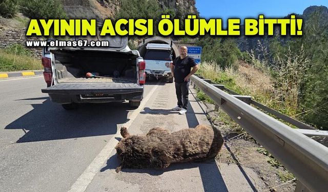 Tünelde başlayan yaşam mücadelesi çayda son buldu