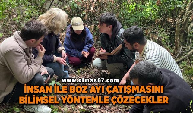 Ayı saldırılarından yola çıktı, insan ile bozayı çatışmasını bilimsel yöntemle çözecekler