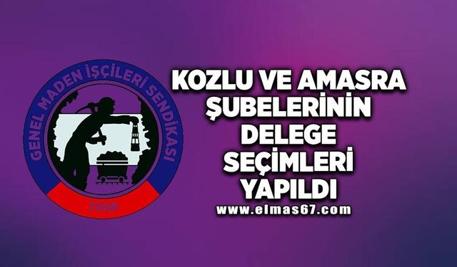 Kozlu ve Amasra Şubelerinin Delege Seçimleri Yapıldı