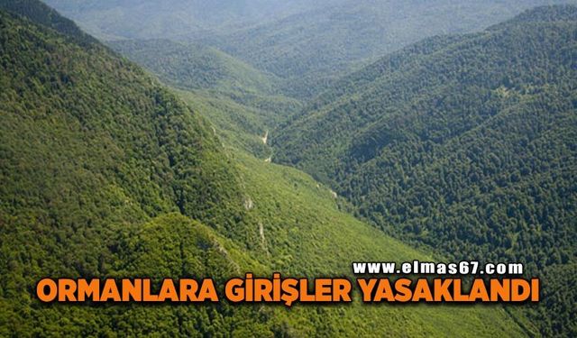 Ormanlara girişler yasaklandı