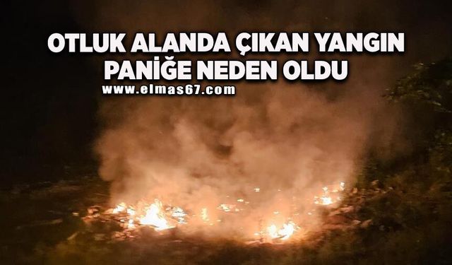 Otluk alanda yangın paniği
