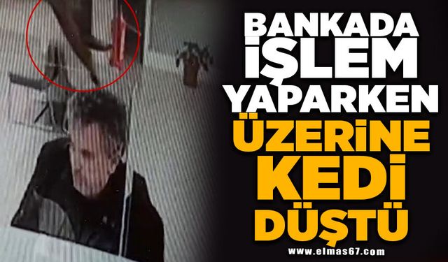 Bankada işlem yaparken üzerine kedi düştü