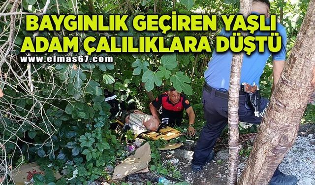 Baygınlık geçiren yaşlı adam çalılıklara düştü