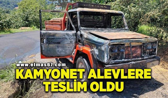 Seyir halindeki kereste yüklü kamyonet alevlere teslim oldu