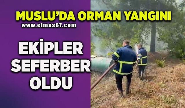 Muslu'da orman yangını! Ekipler seferber oldu