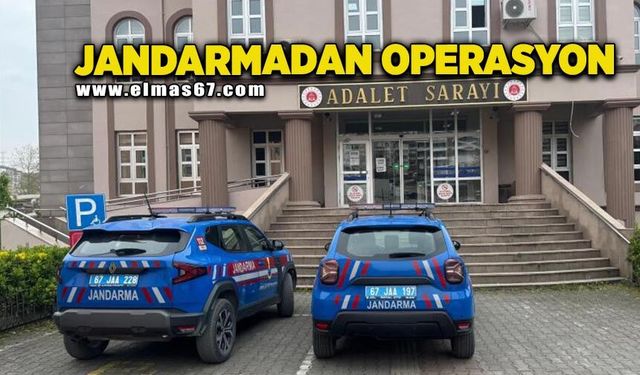 Uy*şturucu operasyonunda 7 kök kenevir ve esrar ele geçirildi