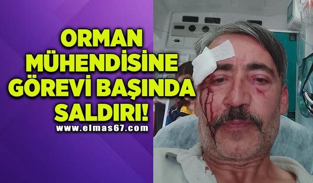 Orman Mühendisi Ahmet Hışır’a görevi başında saldırı!