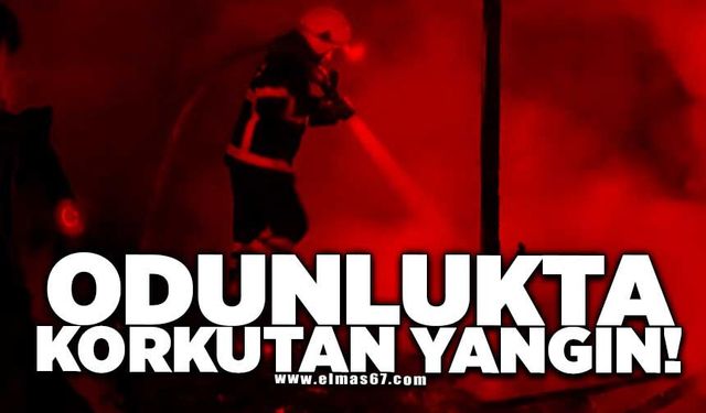 Odunlukta korkutan yangın
