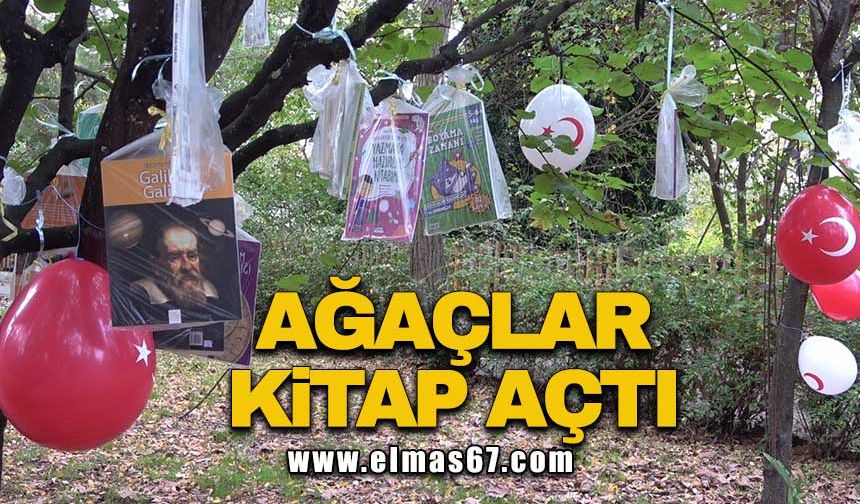 Ağaçlar kitap açtı