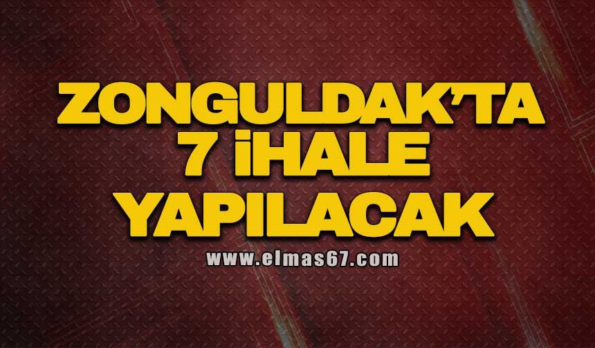 Zonguldak’ta 7 ihale yapılacak