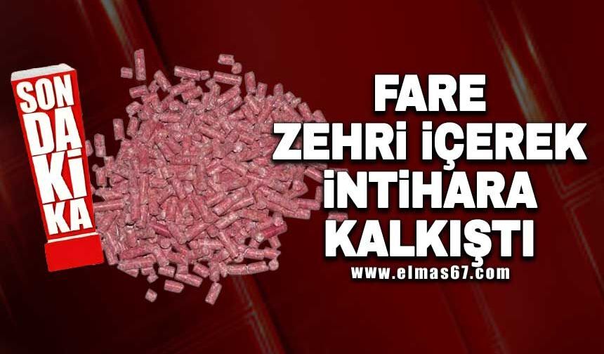 Fare zehri içerek intihara kalkıştı