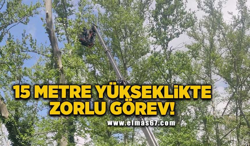 Zonguldak’ta 15 metre yükseklikte zorlu görev!
