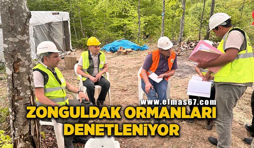 Zonguldak ormanları denetleniyor