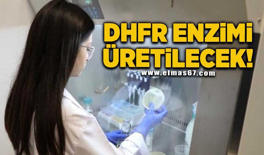 DHFR enzimi üretilecek!