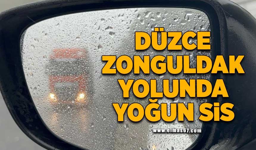 Düzce-Zonguldak yolunda yoğun sis!