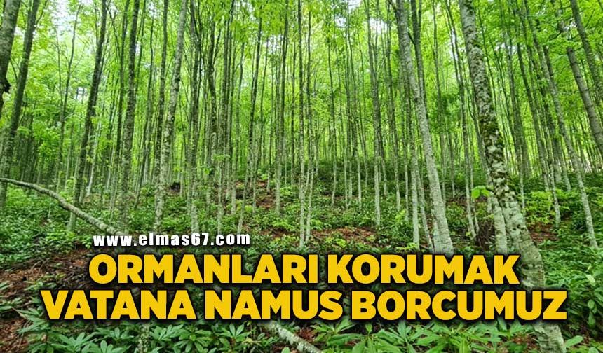 “Ormanları korumak vatana namus borcumuz”