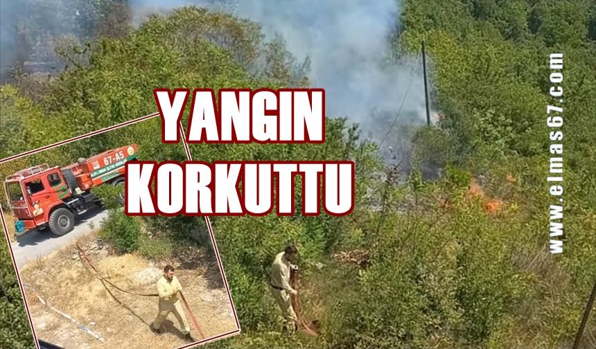 Yangın zarara neden oldu!