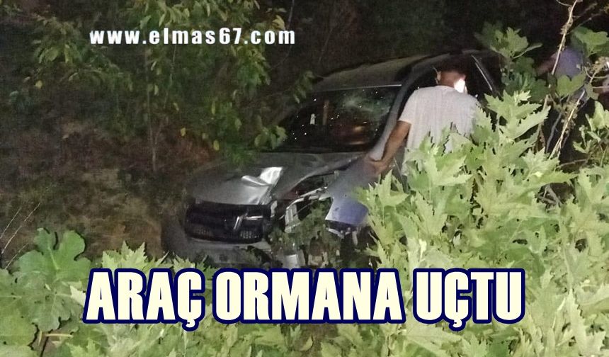 Araç ormana uçtu: 4 yaralı