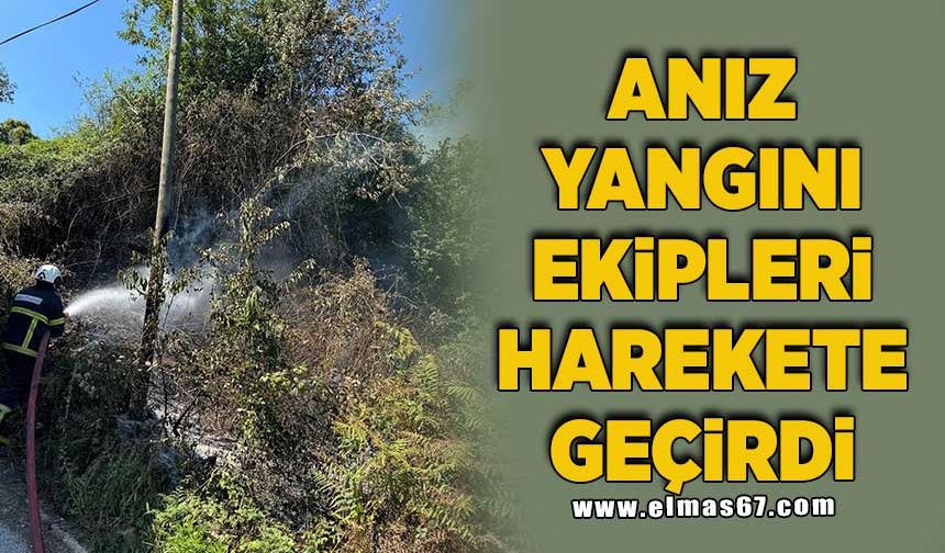 Anız yangını ekipleri harekete geçirdi