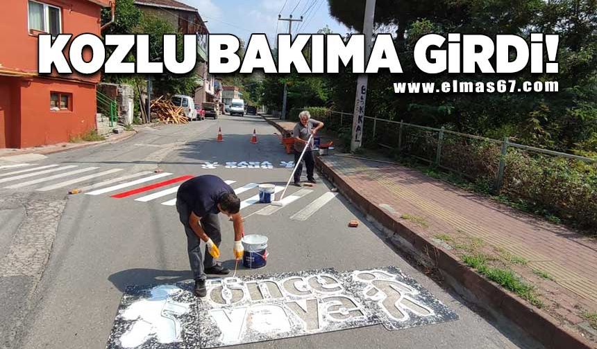 KOZLU BAKIMA GİRDİ..